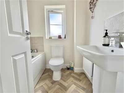Picture 11